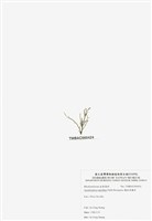 藏品(穗狀魚棲苔)的圖片